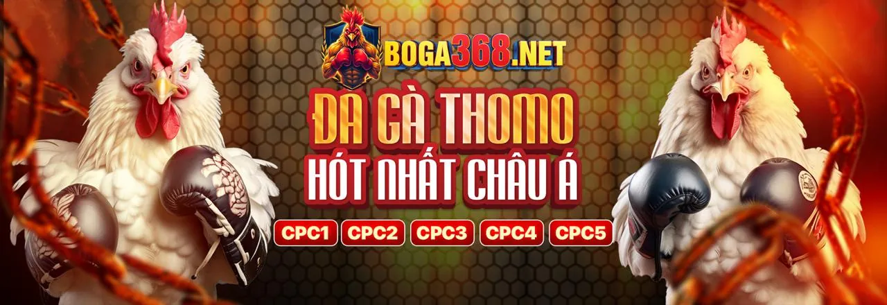Hình ảnh chính máy đánh bạc pet 888