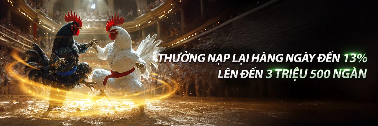 Hình ảnh chính của Blog pet 888 với các tin tức và chiến lược mới nhất