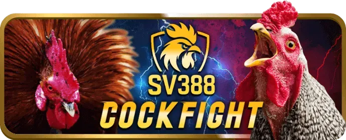 pet 888 đảm bảo an toàn dữ liệu